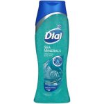 Dial Sea Minerals Enriching Body Wash 621ml